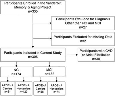 Lower Cardiac Output Relates to Longitudinal Cognitive Decline in Aging Adults